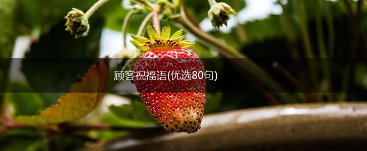 顾客祝福语(优选80句),第1张