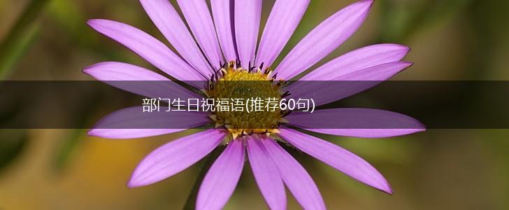 部门生日祝福语(推荐60句),第1张