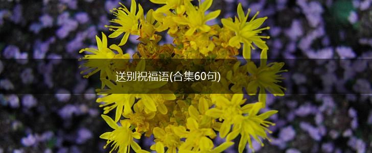 送别祝福语(合集60句),第1张 送别祝福语(合集60句),第1张