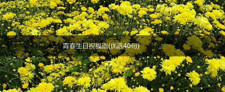 青春生日祝福语(优选40句),第1张