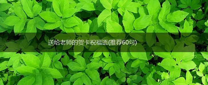 送给老师的贺卡祝福语(推荐60句),第1张 送给老师的贺卡祝福语(推荐60句),第1张