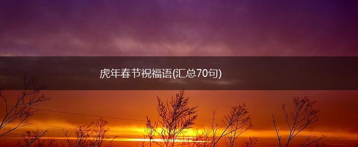 虎年春节祝福语(汇总70句),第1张