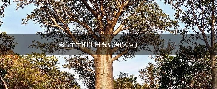 送给宝宝的生日祝福语(50句),第1张