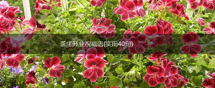 茶庄开业祝福语(实用40句),第1张