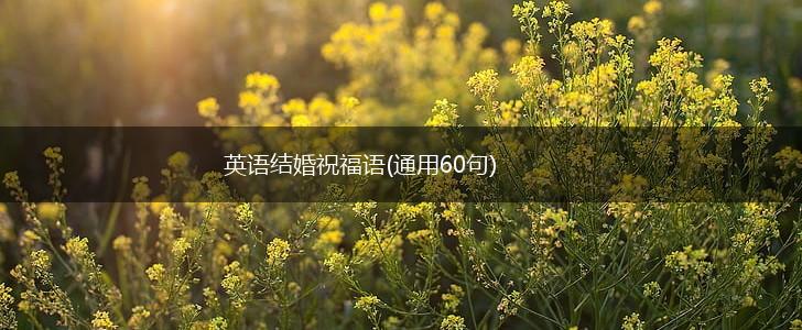英语结婚祝福语(通用60句),第1张