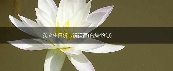 英文生日贺卡祝福语(合集49句),第1张