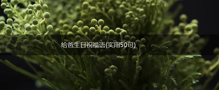给爸生日祝福语(实用50句),第1张