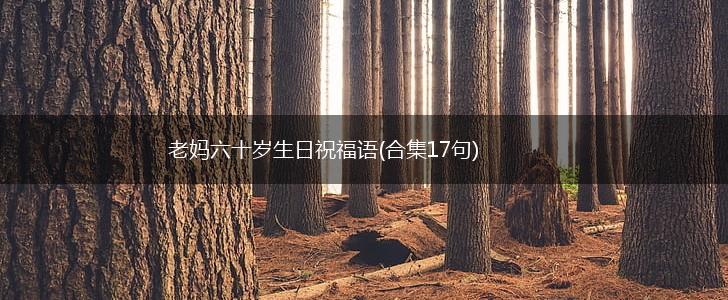 老妈六十岁生日祝福语(合集17句),第1张