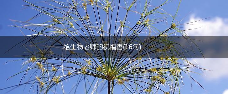 给生物老师的祝福语(16句),第1张 给生物老师的祝福语(16句),第1张
