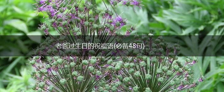 老爸过生日的祝福语(必备48句),第1张