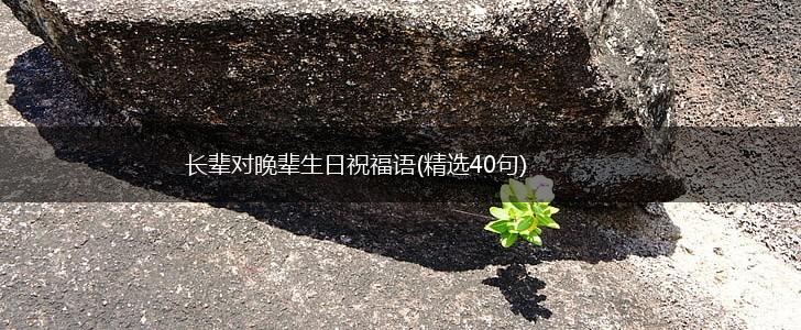 长辈对晚辈生日祝福语(精选40句),第1张