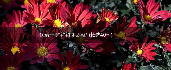 送给一岁宝宝的祝福语(精选40句),第1张