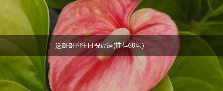 送哥哥的生日祝福语(推荐60句),第1张