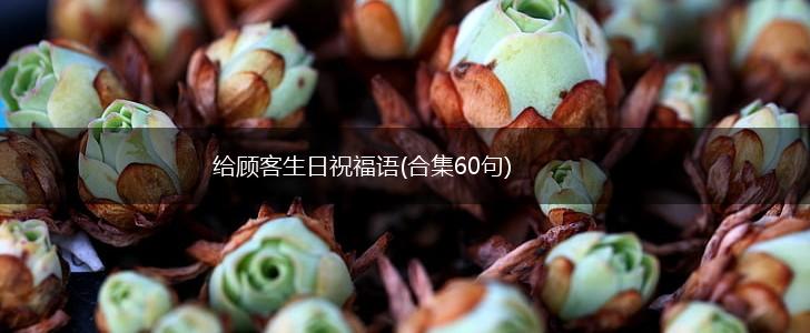 给顾客生日祝福语(合集60句),第1张 给顾客生日祝福语(合集60句),第1张