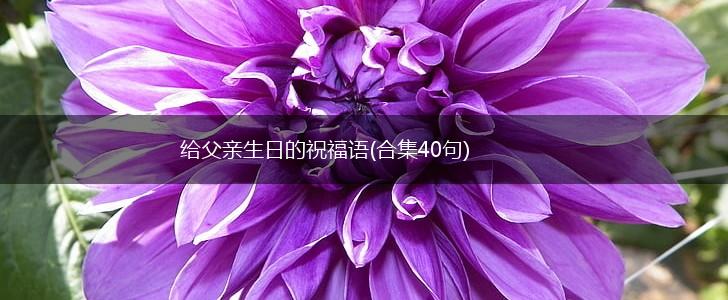 给父亲生日的祝福语(合集40句),第1张