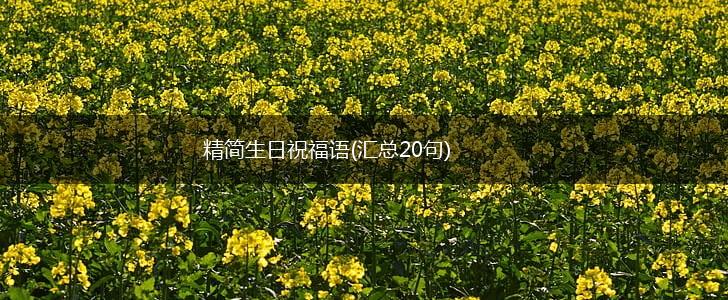 精简生日祝福语(汇总20句),第1张