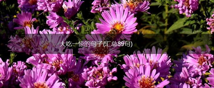 大吃一惊的句子(汇总89句),第1张 大吃一惊的句子(汇总89句),第1张