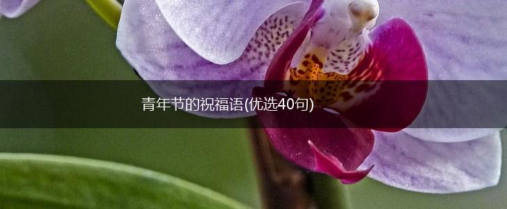 青年节的祝福语(优选40句),第1张