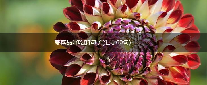 夸菜品好吃的句子(汇总60句),第1张