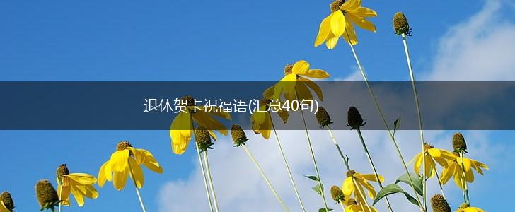 退休贺卡祝福语(汇总40句),第1张 退休贺卡祝福语(汇总40句),第1张