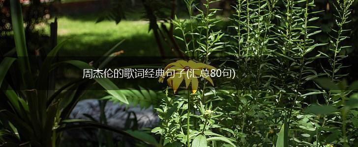 周杰伦的歌词经典句子(汇总80句),第1张