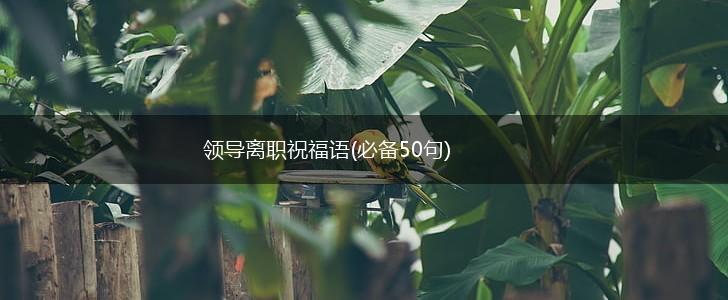 领导离职祝福语(必备50句),第1张