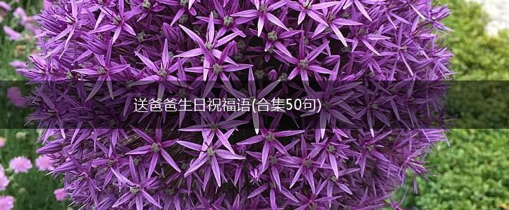 送爸爸生日祝福语(合集50句),第1张 送爸爸生日祝福语(合集50句),第1张