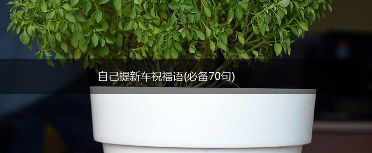 自己提新车祝福语(必备70句),第1张
