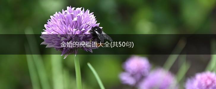 金婚的祝福语大全(共50句),第1张