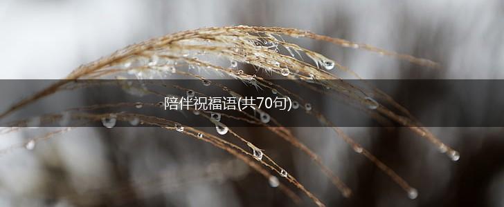 陪伴祝福语(共70句),第1张 陪伴祝福语(共70句),第1张