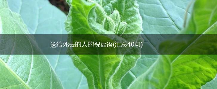 送给死去的人的祝福语(汇总40句),第1张