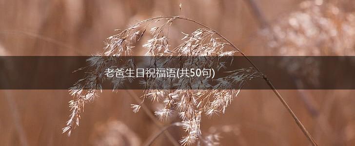 老爸生日祝福语(共50句),第1张