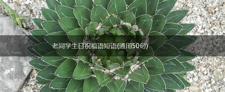 老同学生日祝福语短语(通用50句),第1张