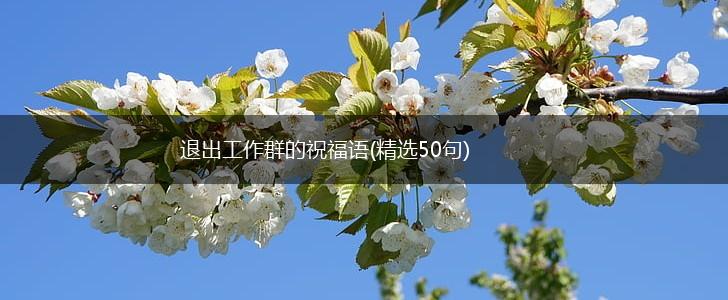 退出工作群的祝福语(精选50句),第1张 退出工作群的祝福语(精选50句),第1张