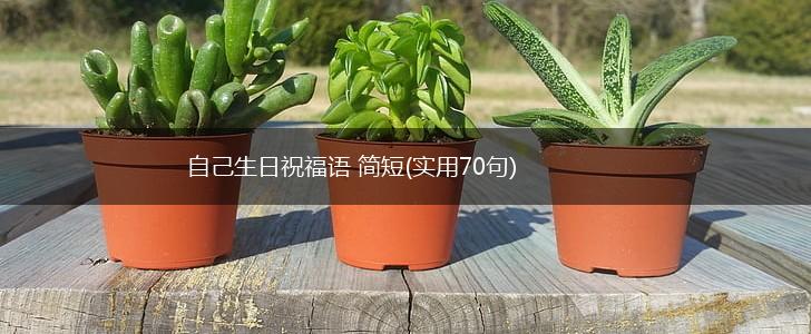 自己生日祝福语 简短(实用70句),第1张