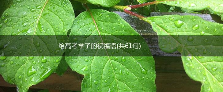 给高考学子的祝福语(共61句),第1张 给高考学子的祝福语(共61句),第1张