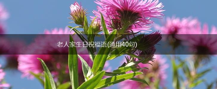 老人家生日祝福语(通用40句),第1张
