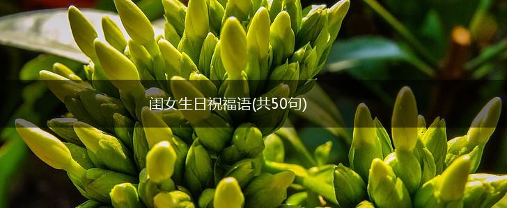 闺女生日祝福语(共50句),第1张 闺女生日祝福语(共50句),第1张