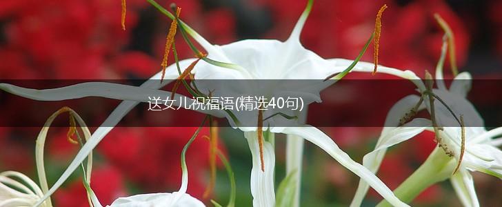 送女儿祝福语(精选40句),第1张 送女儿祝福语(精选40句),第1张