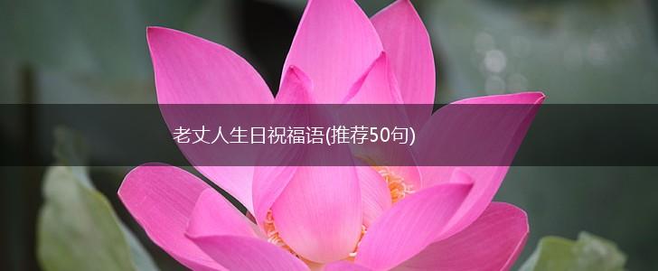 老丈人生日祝福语(推荐50句),第1张 老丈人生日祝福语(推荐50句),第1张