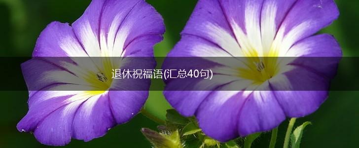 退休祝福语(汇总40句),第1张