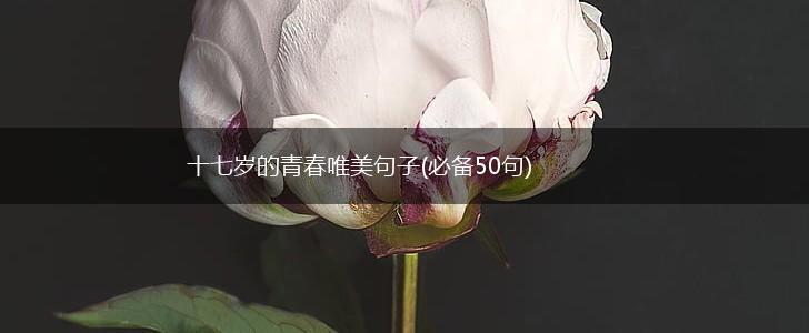 十七岁的青春唯美句子(必备50句),第1张