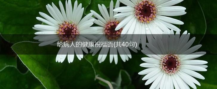 给病人的健康祝福语(共40句),第1张 给病人的健康祝福语(共40句),第1张