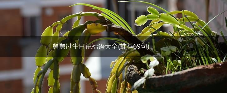 舅舅过生日祝福语大全(推荐69句),第1张