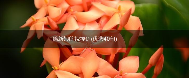 给新娘的祝福语(优选40句),第1张 给新娘的祝福语(优选40句),第1张