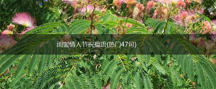 闺蜜情人节祝福语(热门47句),第1张