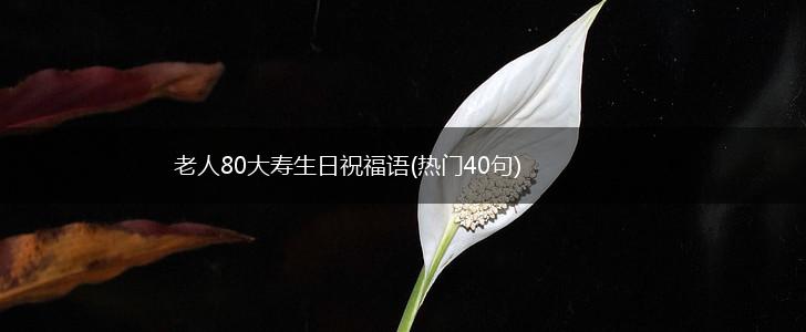老人80大寿生日祝福语(热门40句),第1张