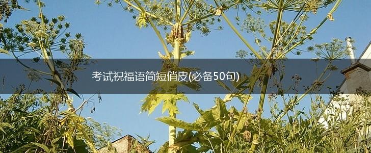 考试祝福语简短俏皮(必备50句),第1张