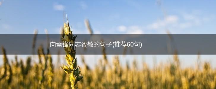 向雷锋同志致敬的句子(推荐60句),第1张