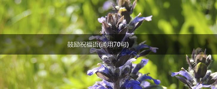 鼓励祝福语(通用70句),第1张